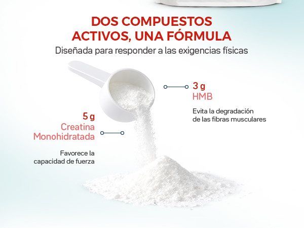 Dúo de Componentes Activos