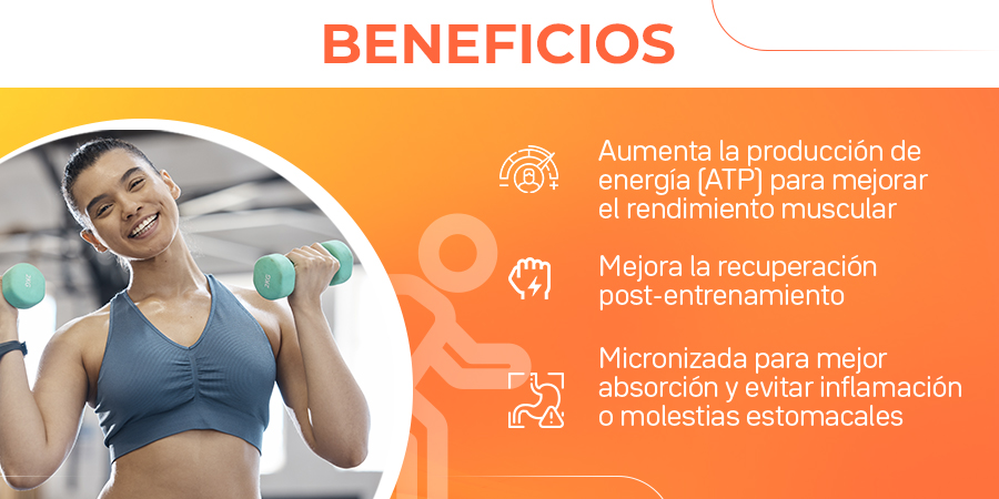 Creatina Primetech Beneficios