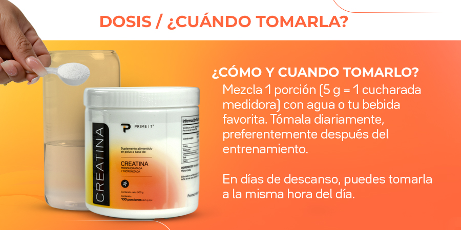 Creatina Primetech Dosis y cuándo tomarla
