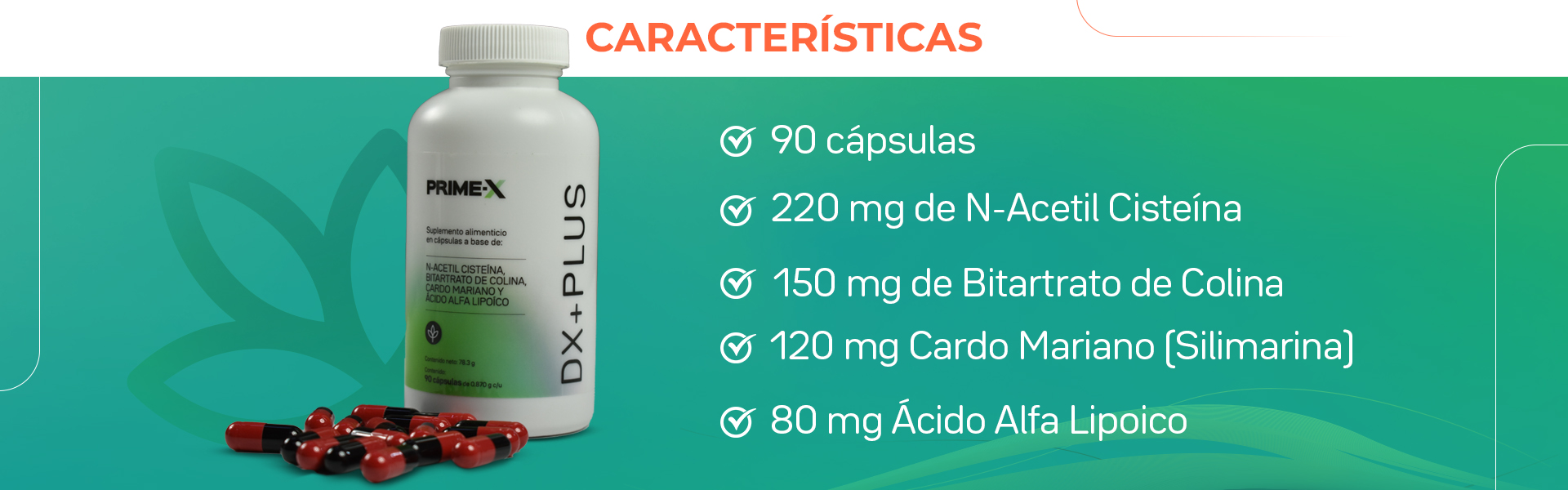 DX+PLUS Características