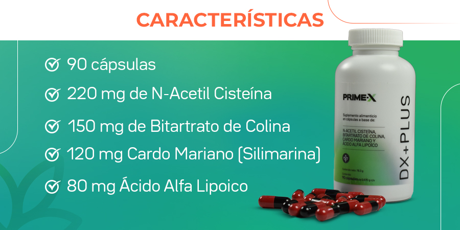 DX+PLUS Características