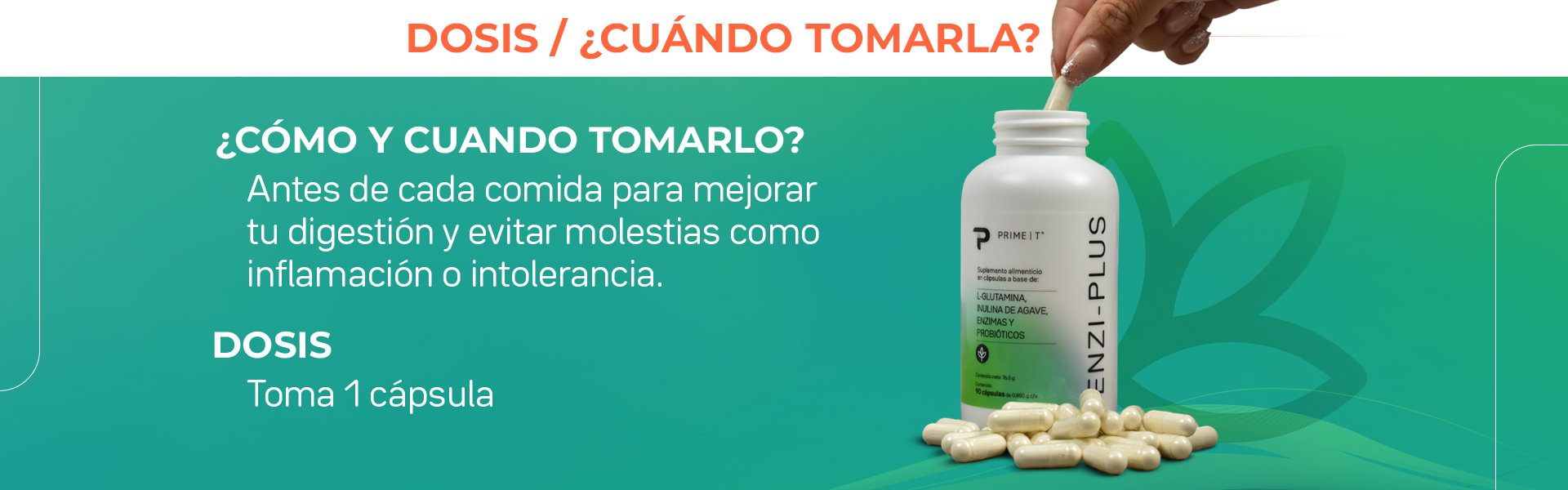 ENZI-PLUS Dosis y cuándo tomar