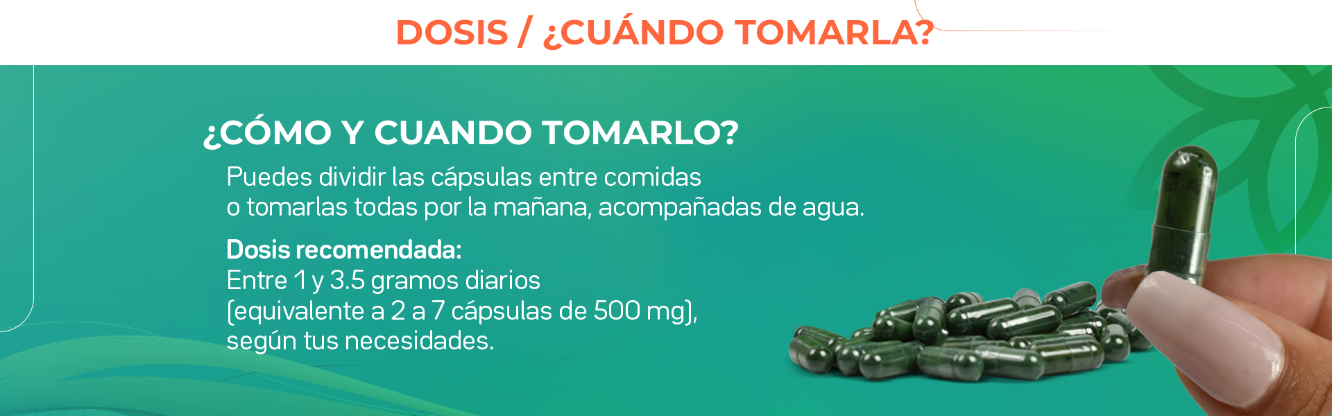 Espirulina Dosis y cuándo tomar