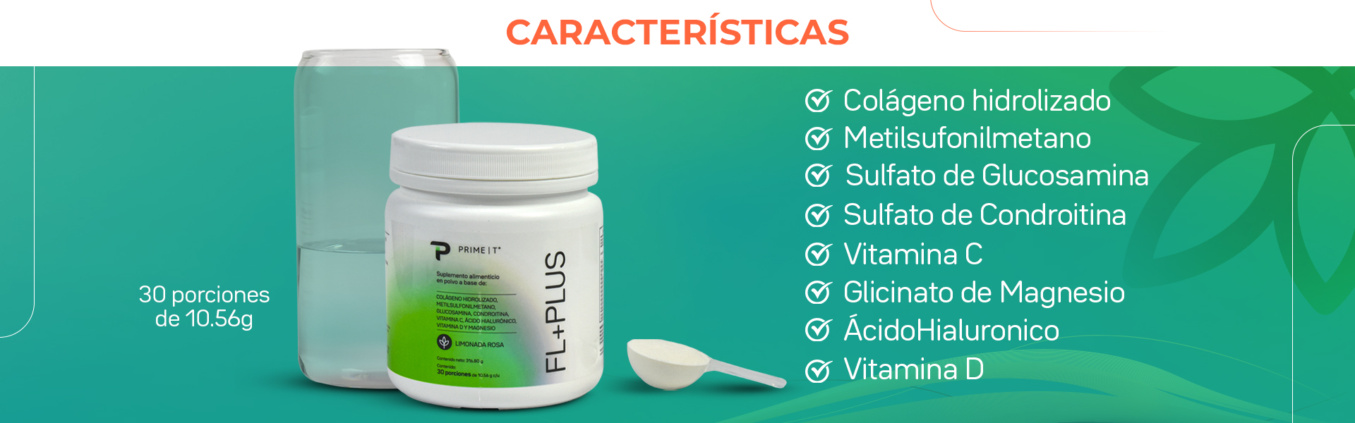 FL+PLUS Características