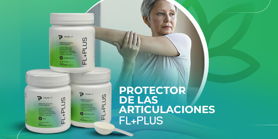FL+PLUS