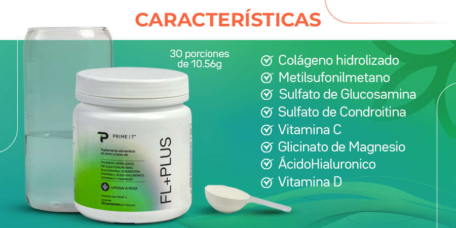 FL+PLUS Características