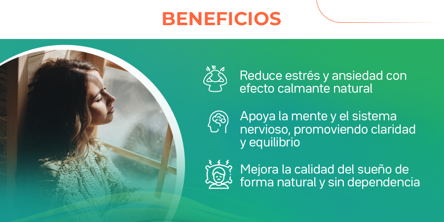 Reduce estrés y ansiedad con efecto calmante natural. Apoya la mente y el sistema nervioso, promoviendo claridad y equilibrio. Mejora la calidad del sueño de forma natural y sin dependencia