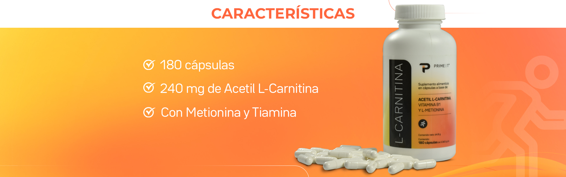 L-Carnitina Características