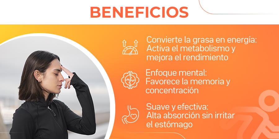 L-Carnitina Beneficios