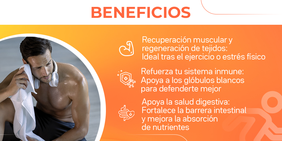 Recuperación muscular y regeneración de tejidos: Ideal tras el ejercicio o estrés fisico. Refuerza tu sistema inmune: Apoya a los glóbulos blancos para defenderte mejor. Apoya la salud digestiva: Fortalece la barrera intestinal y mejora la absorción de nutrientes.