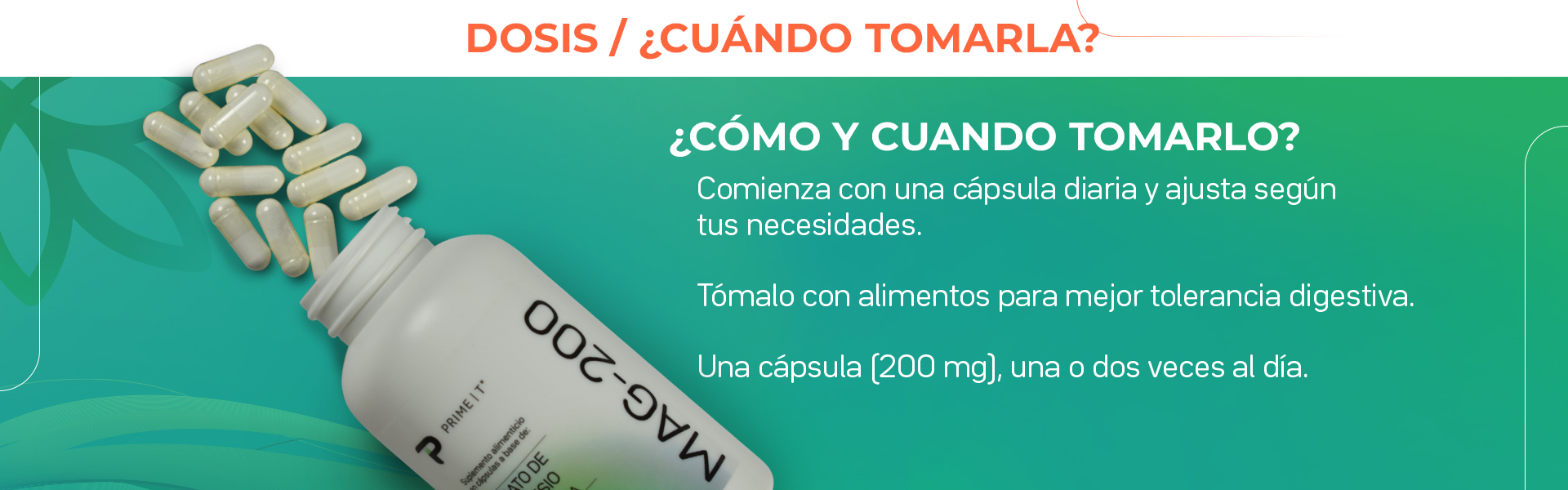 Comienza con una cápsula diaria y ajusta según tus necesidades. Tómalo con alimentos para mejor tolerancia digestiva. Una cápsula (200 mg), una o dos veces al día.