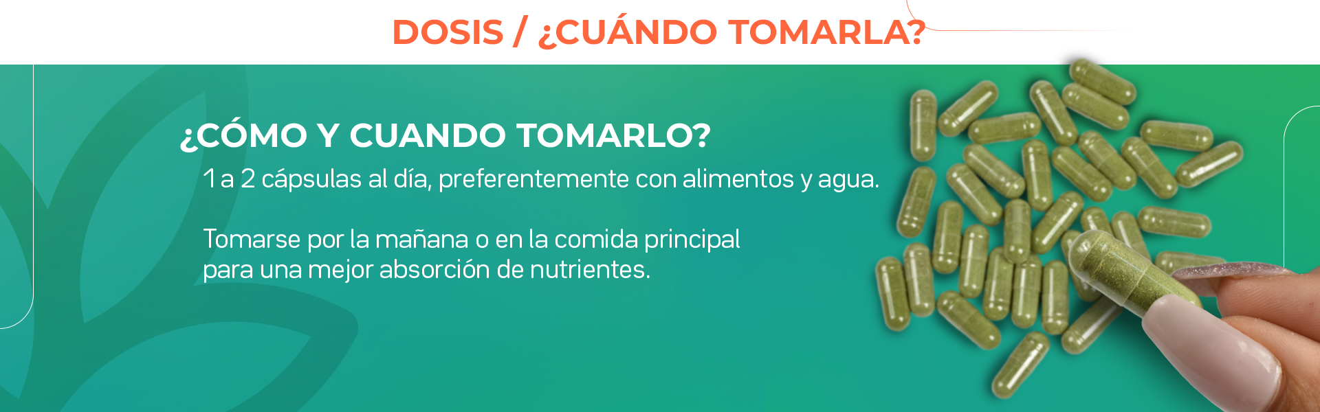 1 a 2 cápsulas al día, preferentemente con alimentos y agua. Tomarse por la mañana o en la comida principal para una mejor absorción de nutrientes.
