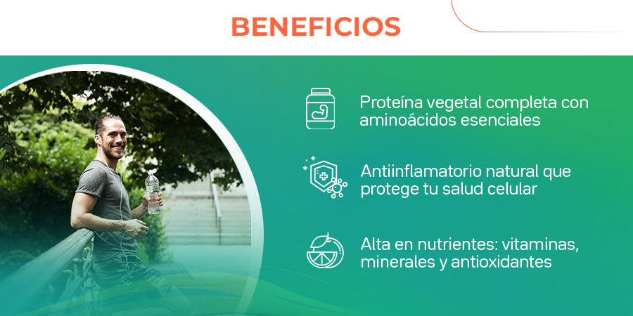 Proteína vegetal completa con aminoácidos esenciales. Anti inflamatorio natural que protege tu salud celular. Alta en nutrientes: vitaminas, minerales y antioxidantes