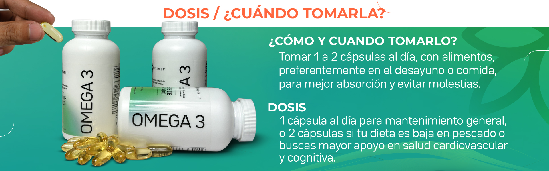 Omega 3 desktop 03