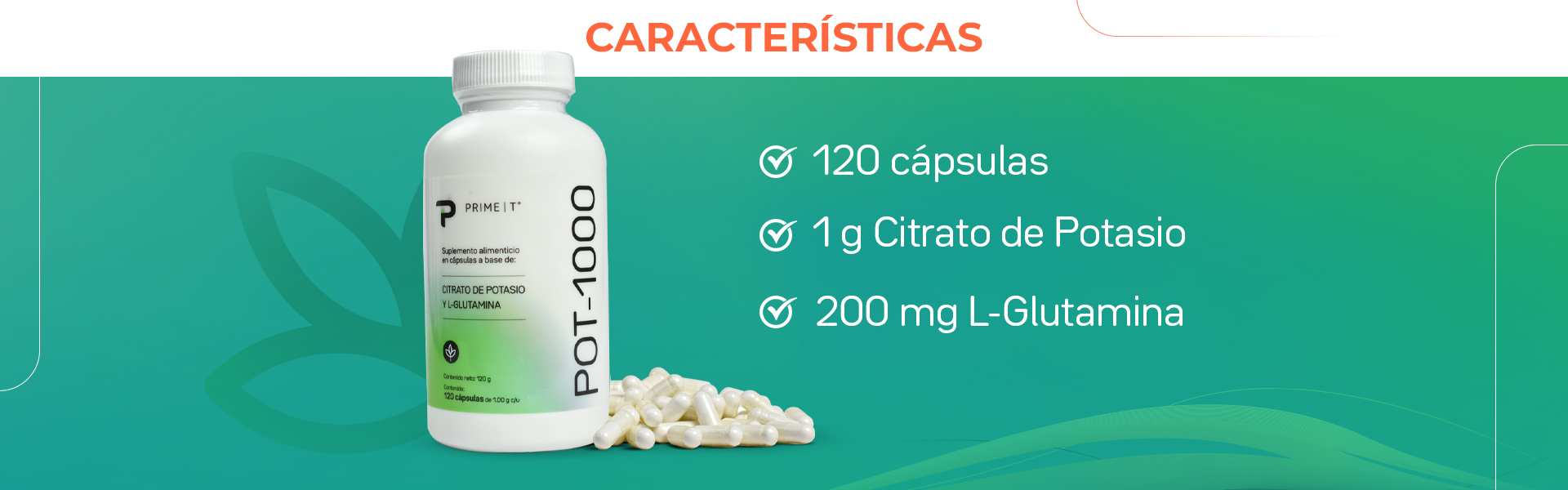 POT-1000 Características