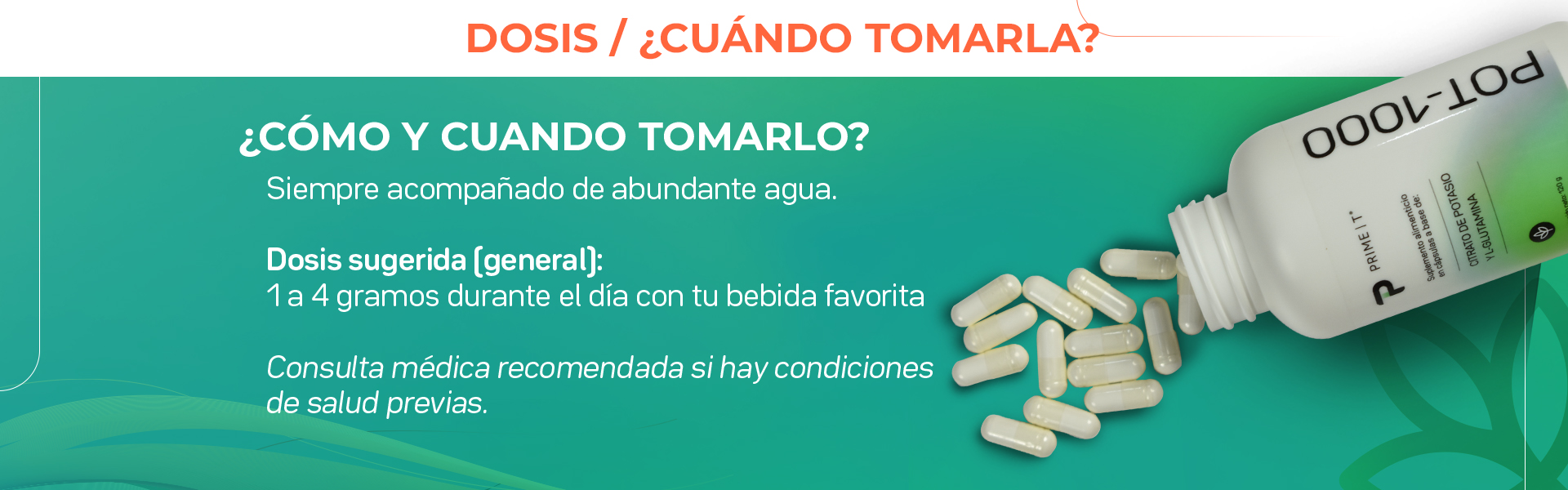 POT-1000 dosis y cuándo tomar