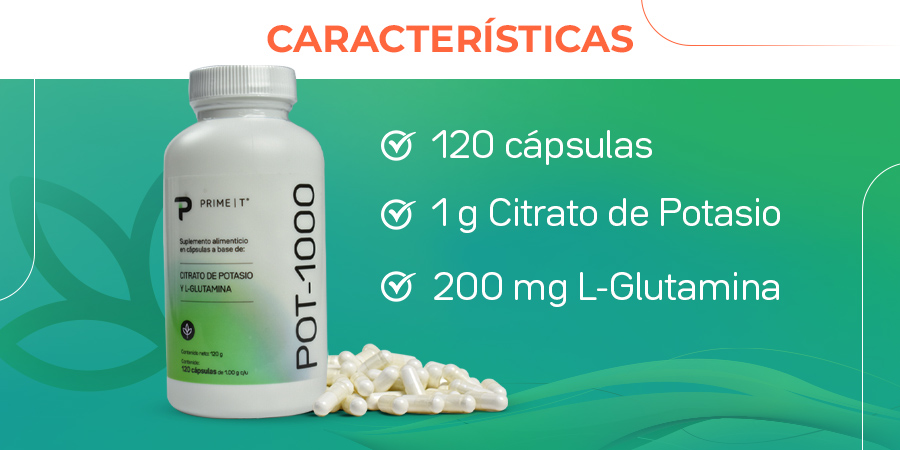 POT-1000 Características