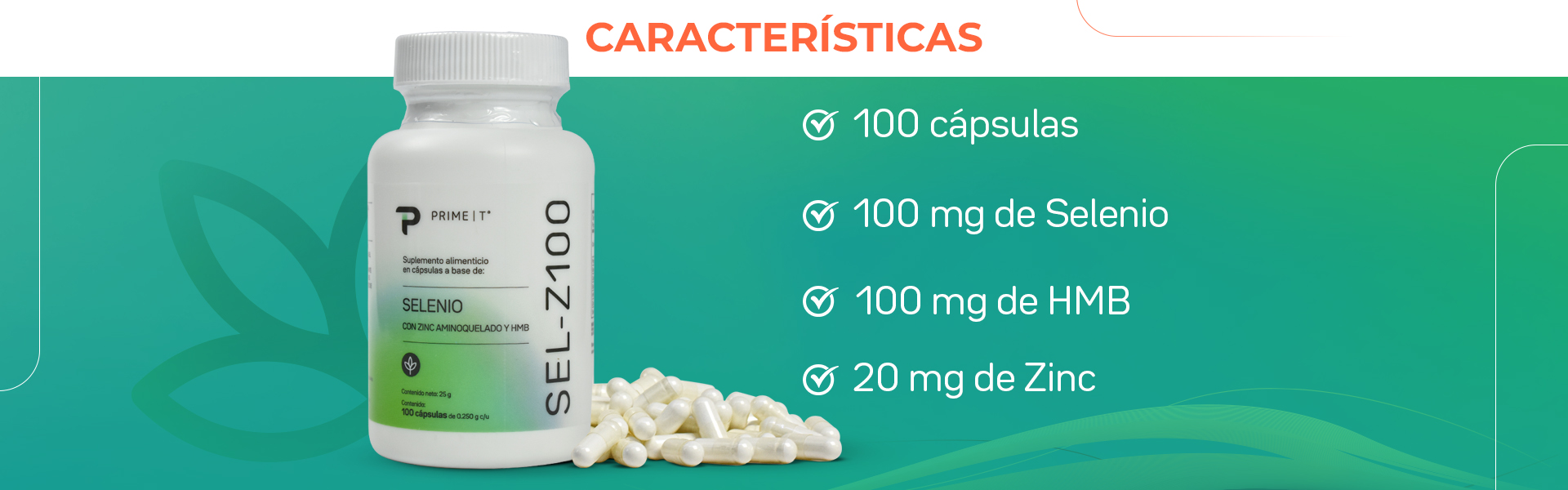 SEL-Z100 Características