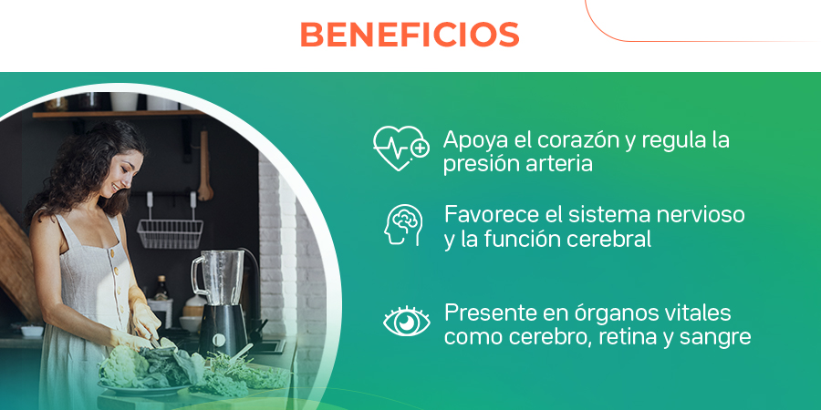 Apoya el corazón y regula la presión arteria. Favorece el sistema nervioso y la función cerebral. Presente en órganos vitales como cerebro, retina y sangre