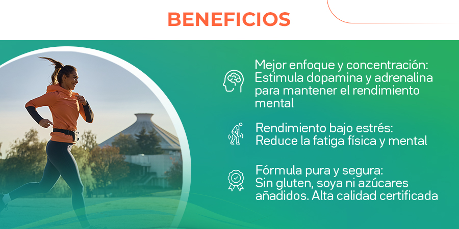 Mejor enfoque y concentración: Estimula dopamina y adrenalina para mantener el rendimiento mental. Rendimiento bajo estrés: Reduce la fatiga tísica y mental. Fórmula pura y segura: Sin gluten, soya ni azúcares añadidos. Alta calidad certificada.