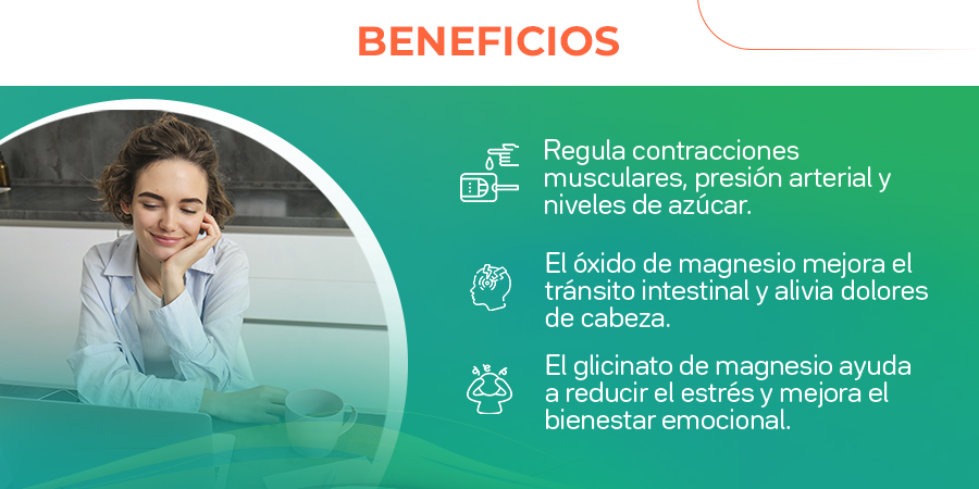 Regula las contracciones musculares, presión arterial y niveles de azúcar. El óxido de magnesio mejora el tránsito intestinal y alivia dolores de cabeza. El glicinato de magnesio ayuda a reducir el estrés y mejora el bienestar emocional.