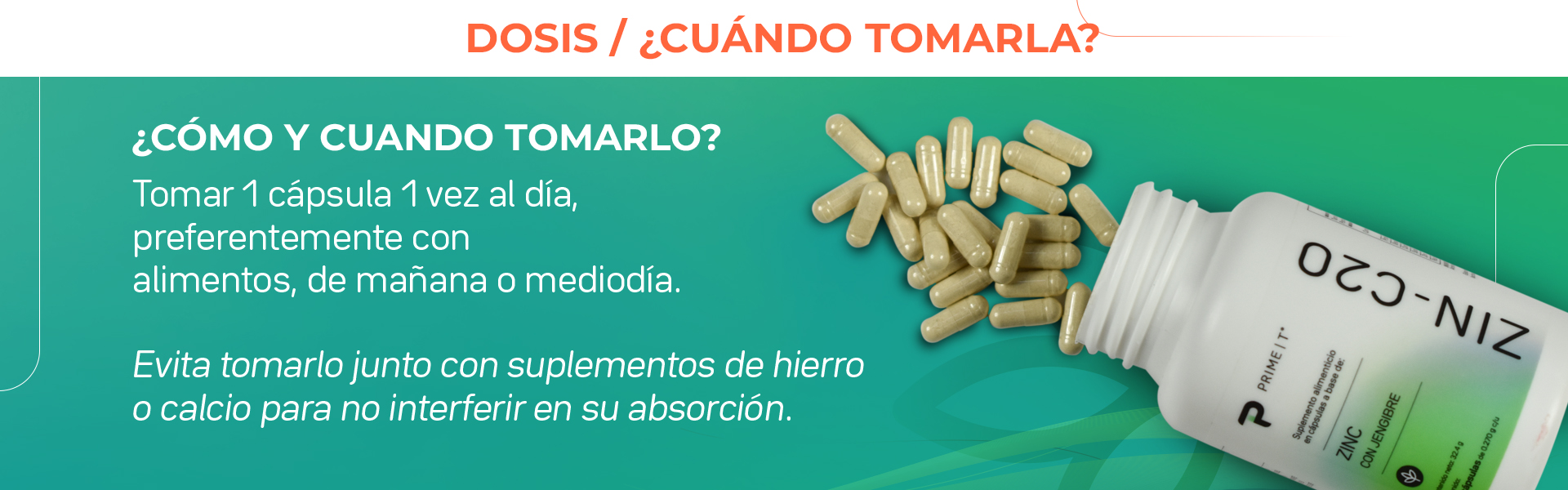 Tomarl cápsula 1 vez al día, preferentemente con alimentos, de mañana o mediodía. Evita tomarlo junto con suplementos de hierro o calcio para no interferir en su absorción.