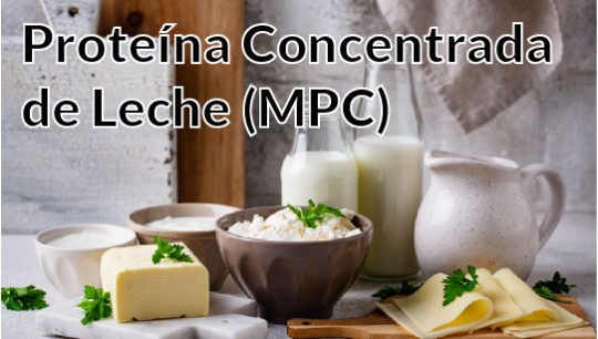 Todo sobre la Proteína Concentrada de Leche (MPC)